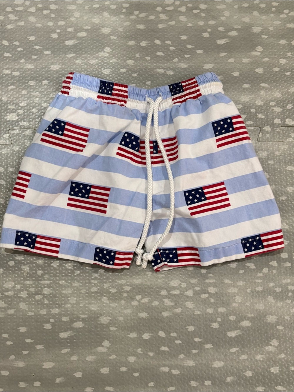 Cecil & Lou American Flag USA Swim Trunks